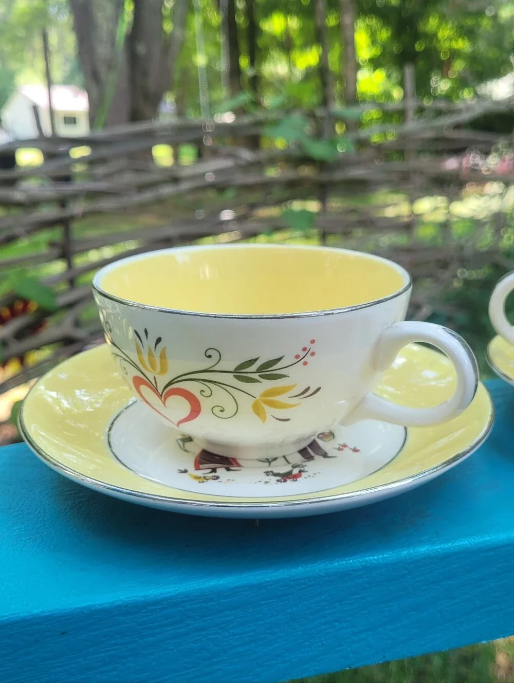 Dutch Farmer Tea Cups & Saucer Plate Set Farmhouse Farmers Wife Cottagecore